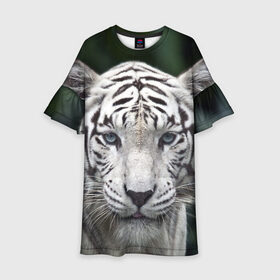 Детское платье 3D с принтом Белый тигр в Екатеринбурге, 100% полиэстер | прямой силуэт, чуть расширенный к низу. Круглая горловина, на рукавах — воланы | animal | jungle | look | predator | tiger | white | wild | белый | взгляд | джунгли | дикий | животное | тигр | хищник