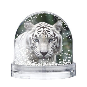Снежный шар с принтом Белый тигр в Екатеринбурге, Пластик | Изображение внутри шара печатается на глянцевой фотобумаге с двух сторон | animal | jungle | look | predator | tiger | white | wild | белый | взгляд | джунгли | дикий | животное | тигр | хищник