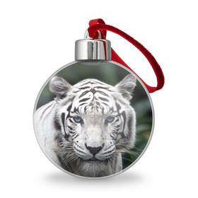 Ёлочный шар с принтом Белый тигр в Екатеринбурге, Пластик | Диаметр: 77 мм | Тематика изображения на принте: animal | jungle | look | predator | tiger | white | wild | белый | взгляд | джунгли | дикий | животное | тигр | хищник