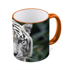 Кружка 3D с принтом Белый тигр в Екатеринбурге, керамика | ёмкость 330 мл | Тематика изображения на принте: animal | jungle | look | predator | tiger | white | wild | белый | взгляд | джунгли | дикий | животное | тигр | хищник