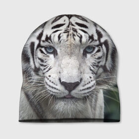 Шапка 3D с принтом Белый тигр в Екатеринбурге, 100% полиэстер | универсальный размер, печать по всей поверхности изделия | Тематика изображения на принте: animal | jungle | look | predator | tiger | white | wild | белый | взгляд | джунгли | дикий | животное | тигр | хищник
