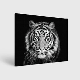 Холст прямоугольный с принтом Тигр в Екатеринбурге, 100% ПВХ |  | animal | black   white | look | predator | tiger | wild | взгляд | дикий | животное | тигр | хищник | черно   белый