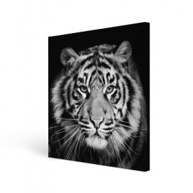 Холст квадратный с принтом Тигр в Екатеринбурге, 100% ПВХ |  | animal | black   white | look | predator | tiger | wild | взгляд | дикий | животное | тигр | хищник | черно   белый
