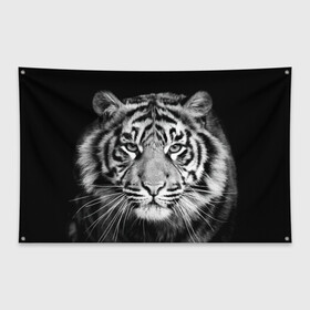 Флаг-баннер с принтом Тигр в Екатеринбурге, 100% полиэстер | размер 67 х 109 см, плотность ткани — 95 г/м2; по краям флага есть четыре люверса для крепления | animal | black   white | look | predator | tiger | wild | взгляд | дикий | животное | тигр | хищник | черно   белый