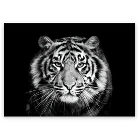 Поздравительная открытка с принтом Тигр в Екатеринбурге, 100% бумага | плотность бумаги 280 г/м2, матовая, на обратной стороне линовка и место для марки
 | Тематика изображения на принте: animal | black   white | look | predator | tiger | wild | взгляд | дикий | животное | тигр | хищник | черно   белый