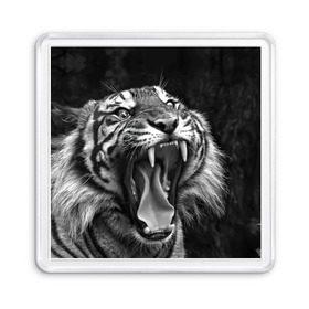 Магнит 55*55 с принтом Тигр в Екатеринбурге, Пластик | Размер: 65*65 мм; Размер печати: 55*55 мм | animal | black   white | fangs | jaws | jungle | predator | teeth | tiger | wild | джунгли | дикий | животное | клыки | оскал | пасть | тигр | хищник | черно   белый