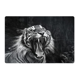 Магнитный плакат 3Х2 с принтом Тигр в Екатеринбурге, Полимерный материал с магнитным слоем | 6 деталей размером 9*9 см | Тематика изображения на принте: animal | black   white | fangs | jaws | jungle | predator | teeth | tiger | wild | джунгли | дикий | животное | клыки | оскал | пасть | тигр | хищник | черно   белый
