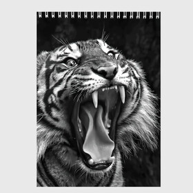 Скетчбук с принтом Тигр в Екатеринбурге, 100% бумага
 | 48 листов, плотность листов — 100 г/м2, плотность картонной обложки — 250 г/м2. Листы скреплены сверху удобной пружинной спиралью | animal | black   white | fangs | jaws | jungle | predator | teeth | tiger | wild | джунгли | дикий | животное | клыки | оскал | пасть | тигр | хищник | черно   белый