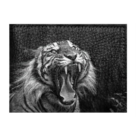 Обложка для студенческого билета с принтом Тигр в Екатеринбурге, натуральная кожа | Размер: 11*8 см; Печать на всей внешней стороне | Тематика изображения на принте: animal | black   white | fangs | jaws | jungle | predator | teeth | tiger | wild | джунгли | дикий | животное | клыки | оскал | пасть | тигр | хищник | черно   белый
