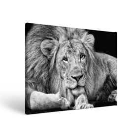 Холст прямоугольный с принтом Лев в Екатеринбурге, 100% ПВХ |  | animal | black   white | king | lies | lion | look | predator | wild | взгляд | дикий | животное | зверь | лев | лежит | хищник | царь | черно   белый