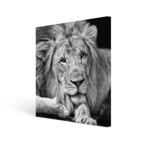 Холст квадратный с принтом Лев в Екатеринбурге, 100% ПВХ |  | animal | black   white | king | lies | lion | look | predator | wild | взгляд | дикий | животное | зверь | лев | лежит | хищник | царь | черно   белый