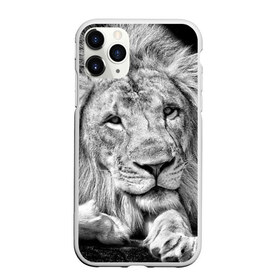 Чехол для iPhone 11 Pro матовый с принтом Лев в Екатеринбурге, Силикон |  | animal | black   white | king | lies | lion | look | predator | wild | взгляд | дикий | животное | зверь | лев | лежит | хищник | царь | черно   белый