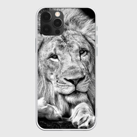 Чехол для iPhone 12 Pro Max с принтом Лев в Екатеринбурге, Силикон |  | animal | black   white | king | lies | lion | look | predator | wild | взгляд | дикий | животное | зверь | лев | лежит | хищник | царь | черно   белый