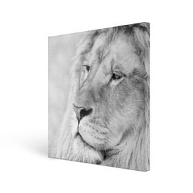 Холст квадратный с принтом Лев в Екатеринбурге, 100% ПВХ |  | animal | black   white | king | lion | look | predator | wild | взгляд | дикий | животное | зверь | лев | хищник | царь | черно   белый