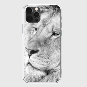 Чехол для iPhone 12 Pro Max с принтом Лев в Екатеринбурге, Силикон |  | animal | black   white | king | lion | look | predator | wild | взгляд | дикий | животное | зверь | лев | хищник | царь | черно   белый