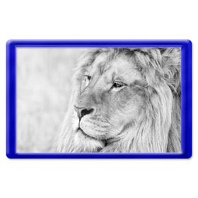 Магнит 45*70 с принтом Лев в Екатеринбурге, Пластик | Размер: 78*52 мм; Размер печати: 70*45 | animal | black   white | king | lion | look | predator | wild | взгляд | дикий | животное | зверь | лев | хищник | царь | черно   белый
