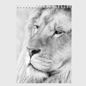 Скетчбук с принтом Лев в Екатеринбурге, 100% бумага
 | 48 листов, плотность листов — 100 г/м2, плотность картонной обложки — 250 г/м2. Листы скреплены сверху удобной пружинной спиралью | animal | black   white | king | lion | look | predator | wild | взгляд | дикий | животное | зверь | лев | хищник | царь | черно   белый
