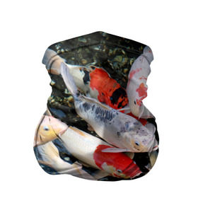 Бандана-труба 3D с принтом Koi Fish (карпы кои) в Екатеринбурге, 100% полиэстер, ткань с особыми свойствами — Activecool | плотность 150‒180 г/м2; хорошо тянется, но сохраняет форму | bright | brocade | carp | color | decorative | depth | exotic | fish | koi | koi fish | sea | water | вода | глубина | декоративные | карпы | кои | море | парчовый | рыбки | цвет | экзотические | яркий