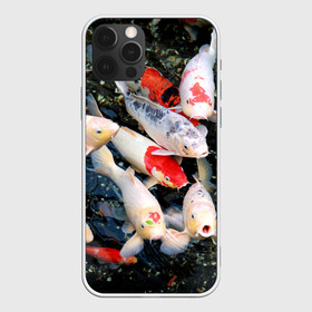 Чехол для iPhone 12 Pro с принтом Koi Fish (карпы кои) в Екатеринбурге, силикон | область печати: задняя сторона чехла, без боковых панелей | bright | brocade | carp | color | decorative | depth | exotic | fish | koi | koi fish | sea | water | вода | глубина | декоративные | карпы | кои | море | парчовый | рыбки | цвет | экзотические | яркий