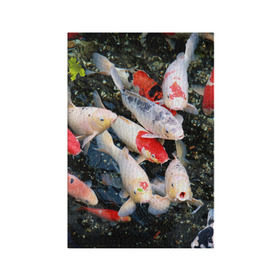 Обложка для паспорта матовая кожа с принтом Koi Fish (карпы кои) в Екатеринбурге, натуральная матовая кожа | размер 19,3 х 13,7 см; прозрачные пластиковые крепления | bright | brocade | carp | color | decorative | depth | exotic | fish | koi | koi fish | sea | water | вода | глубина | декоративные | карпы | кои | море | парчовый | рыбки | цвет | экзотические | яркий
