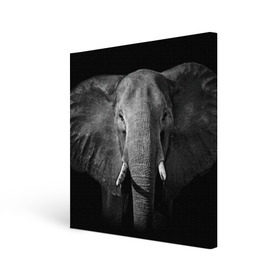Холст квадратный с принтом Слон в Екатеринбурге, 100% ПВХ |  | Тематика изображения на принте: animal | big | black   white | elephant | wild | большой | дикий | животное | слон | черно   белый
