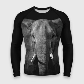 Мужской рашгард 3D с принтом Слон в Екатеринбурге,  |  | animal | big | black   white | elephant | wild | большой | дикий | животное | слон | черно   белый