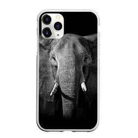 Чехол для iPhone 11 Pro матовый с принтом Слон в Екатеринбурге, Силикон |  | animal | big | black   white | elephant | wild | большой | дикий | животное | слон | черно   белый