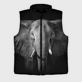 Мужской жилет утепленный 3D с принтом Слон в Екатеринбурге,  |  | animal | big | black   white | elephant | wild | большой | дикий | животное | слон | черно   белый