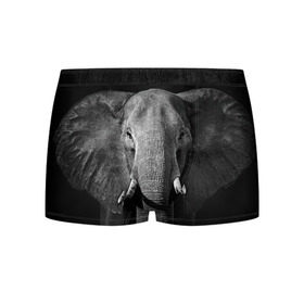 Мужские трусы 3D с принтом Слон в Екатеринбурге, 50% хлопок, 50% полиэстер | классическая посадка, на поясе мягкая тканевая резинка | animal | big | black   white | elephant | wild | большой | дикий | животное | слон | черно   белый