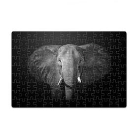 Пазл магнитный 126 элементов с принтом Слон в Екатеринбурге, полимерный материал с магнитным слоем | 126 деталей, размер изделия —  180*270 мм | animal | big | black   white | elephant | wild | большой | дикий | животное | слон | черно   белый