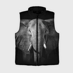 Женский жилет утепленный 3D с принтом Слон в Екатеринбурге,  |  | animal | big | black   white | elephant | wild | большой | дикий | животное | слон | черно   белый