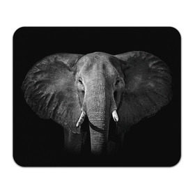 Коврик прямоугольный с принтом Слон в Екатеринбурге, натуральный каучук | размер 230 х 185 мм; запечатка лицевой стороны | animal | big | black   white | elephant | wild | большой | дикий | животное | слон | черно   белый