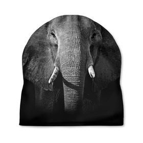 Шапка 3D с принтом Слон в Екатеринбурге, 100% полиэстер | универсальный размер, печать по всей поверхности изделия | animal | big | black   white | elephant | wild | большой | дикий | животное | слон | черно   белый