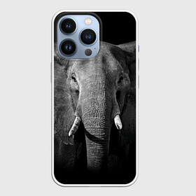 Чехол для iPhone 13 Pro с принтом Слон в Екатеринбурге,  |  | Тематика изображения на принте: animal | big | black   white | elephant | wild | большой | дикий | животное | слон | черно   белый