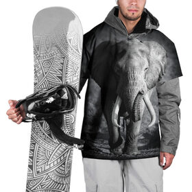 Накидка на куртку 3D с принтом Слон в Екатеринбурге, 100% полиэстер |  | africa | animal | big | black   white | elephant | go | road | savannah | wild | африка | большой | дикий | дорога | животное | идет | саванна | слон | черно   белый