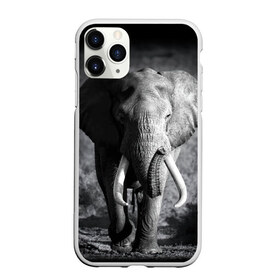 Чехол для iPhone 11 Pro матовый с принтом Слон в Екатеринбурге, Силикон |  | africa | animal | big | black   white | elephant | go | road | savannah | wild | африка | большой | дикий | дорога | животное | идет | саванна | слон | черно   белый