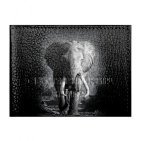 Обложка для студенческого билета с принтом Слон в Екатеринбурге, натуральная кожа | Размер: 11*8 см; Печать на всей внешней стороне | africa | animal | big | black   white | elephant | go | road | savannah | wild | африка | большой | дикий | дорога | животное | идет | саванна | слон | черно   белый