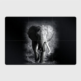 Магнитный плакат 3Х2 с принтом Слон в Екатеринбурге, Полимерный материал с магнитным слоем | 6 деталей размером 9*9 см | africa | animal | big | black   white | elephant | go | road | savannah | wild | африка | большой | дикий | дорога | животное | идет | саванна | слон | черно   белый