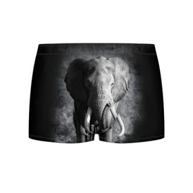Мужские трусы 3D с принтом Слон в Екатеринбурге, 50% хлопок, 50% полиэстер | классическая посадка, на поясе мягкая тканевая резинка | africa | animal | big | black   white | elephant | go | road | savannah | wild | африка | большой | дикий | дорога | животное | идет | саванна | слон | черно   белый