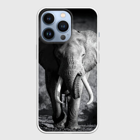 Чехол для iPhone 13 Pro с принтом Слон в Екатеринбурге,  |  | africa | animal | big | black   white | elephant | go | road | savannah | wild | африка | большой | дикий | дорога | животное | идет | саванна | слон | черно   белый