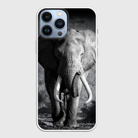 Чехол для iPhone 13 Pro Max с принтом Слон в Екатеринбурге,  |  | africa | animal | big | black   white | elephant | go | road | savannah | wild | африка | большой | дикий | дорога | животное | идет | саванна | слон | черно   белый