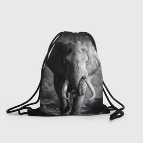 Рюкзак-мешок 3D с принтом Слон в Екатеринбурге, 100% полиэстер | плотность ткани — 200 г/м2, размер — 35 х 45 см; лямки — толстые шнурки, застежка на шнуровке, без карманов и подкладки | africa | animal | big | black   white | elephant | go | road | savannah | wild | африка | большой | дикий | дорога | животное | идет | саванна | слон | черно   белый