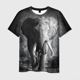 Мужская футболка 3D с принтом Слон в Екатеринбурге, 100% полиэфир | прямой крой, круглый вырез горловины, длина до линии бедер | africa | animal | big | black   white | elephant | go | road | savannah | wild | африка | большой | дикий | дорога | животное | идет | саванна | слон | черно   белый