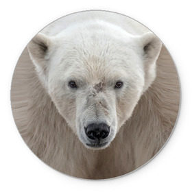 Коврик круглый с принтом Белый медведь в Екатеринбурге, резина и полиэстер | круглая форма, изображение наносится на всю лицевую часть | Тематика изображения на принте: animal | bear | eyes | head | north | polar | predator | white | wild | белый | взгляд | голова | дикий | животное | медведь | полярный | север | хищник