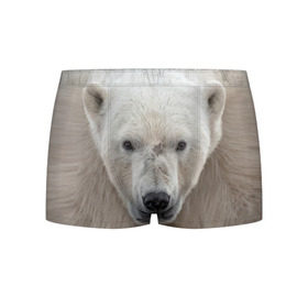 Мужские трусы 3D с принтом Белый медведь в Екатеринбурге, 50% хлопок, 50% полиэстер | классическая посадка, на поясе мягкая тканевая резинка | animal | bear | eyes | head | north | polar | predator | white | wild | белый | взгляд | голова | дикий | животное | медведь | полярный | север | хищник