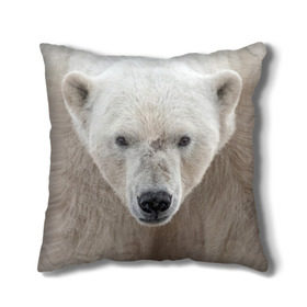 Подушка 3D с принтом Белый медведь в Екатеринбурге, наволочка – 100% полиэстер, наполнитель – холлофайбер (легкий наполнитель, не вызывает аллергию). | состоит из подушки и наволочки. Наволочка на молнии, легко снимается для стирки | animal | bear | eyes | head | north | polar | predator | white | wild | белый | взгляд | голова | дикий | животное | медведь | полярный | север | хищник