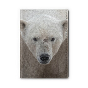Обложка для автодокументов с принтом Белый медведь в Екатеринбурге, натуральная кожа |  размер 19,9*13 см; внутри 4 больших “конверта” для документов и один маленький отдел — туда идеально встанут права | Тематика изображения на принте: animal | bear | eyes | head | north | polar | predator | white | wild | белый | взгляд | голова | дикий | животное | медведь | полярный | север | хищник