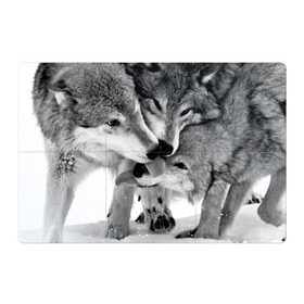 Магнитный плакат 3Х2 с принтом Волчья семья в Екатеринбурге, Полимерный материал с магнитным слоем | 6 деталей размером 9*9 см | Тематика изображения на принте: animals | black   white | family | love | predators | wild | wolves | волки | дикие | животные | любовь | семья | хищники | черно   белый