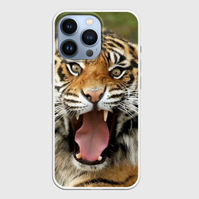 Чехол для iPhone 13 Pro с принтом Тигр в Екатеринбурге,  |  | angry | animal | beast | jaws | predator | teeth | tiger | животное | зверь | злой | клыки | оскал | пасть | тигр | хищник