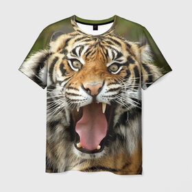 Мужская футболка 3D с принтом Тигр в Екатеринбурге, 100% полиэфир | прямой крой, круглый вырез горловины, длина до линии бедер | angry | animal | beast | jaws | predator | teeth | tiger | животное | зверь | злой | клыки | оскал | пасть | тигр | хищник